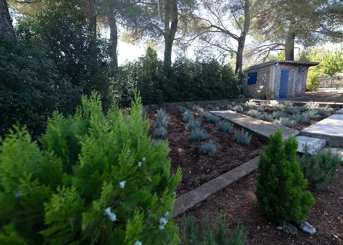 Bianca Nyaraló Gabonjin